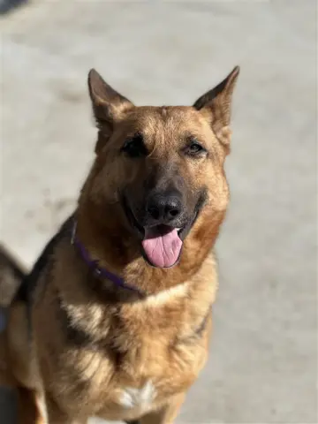 Clementine thumbnail 5