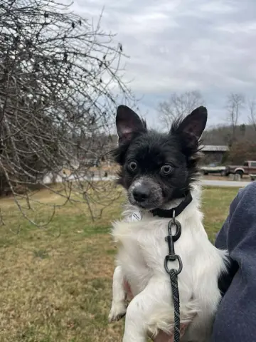 Terrance thumbnail 4