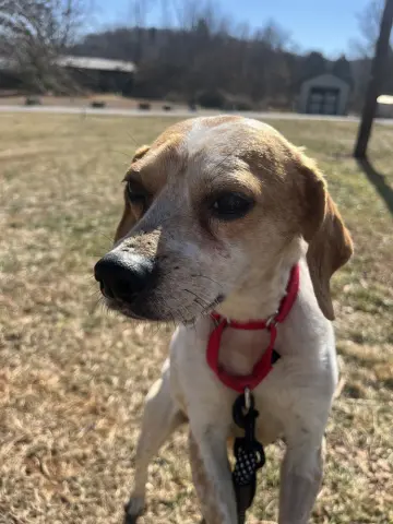 Meredith Grey thumbnail 3