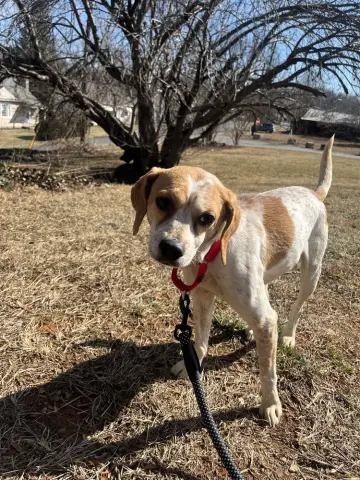 Meredith Grey thumbnail 4