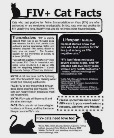 Schroeder thumbnail 2