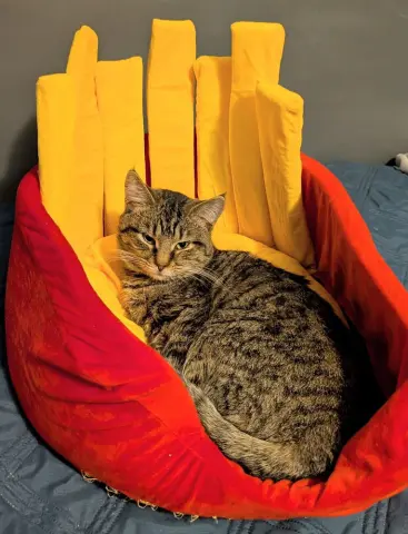 Schroeder thumbnail 3