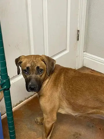 Pryncess thumbnail 2