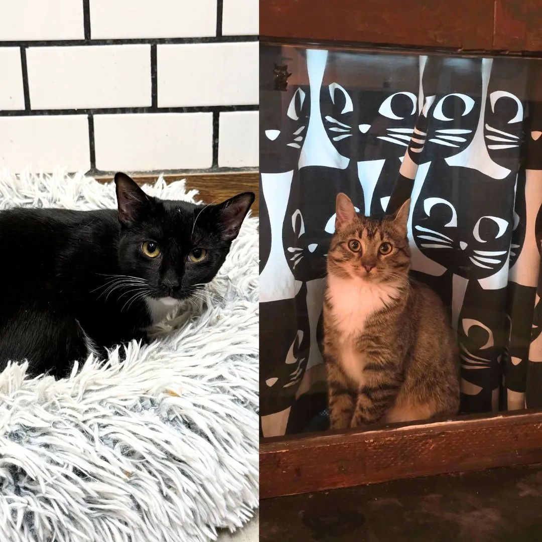 Vel & Vita - Photo 1