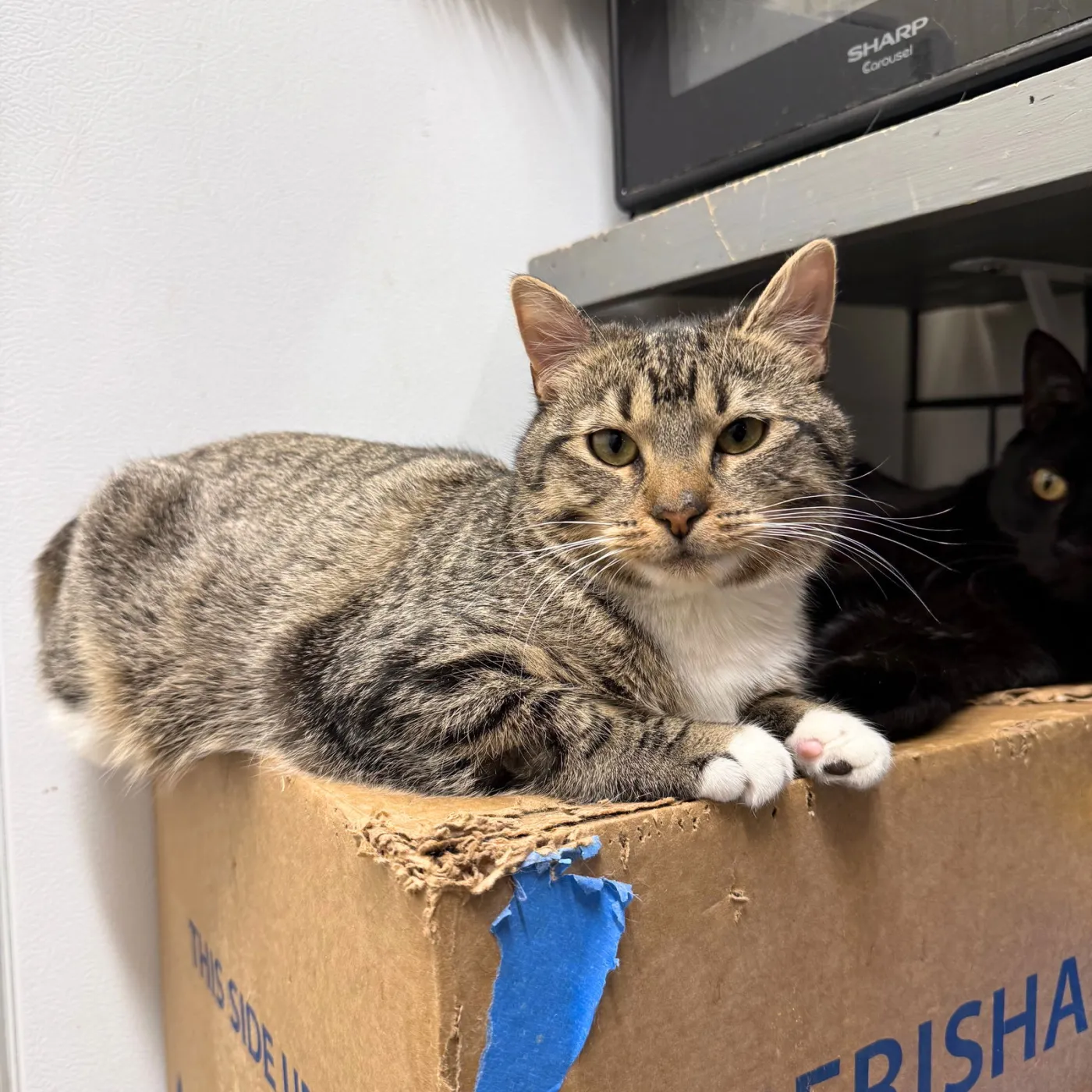 Vel & Vita - Photo 2