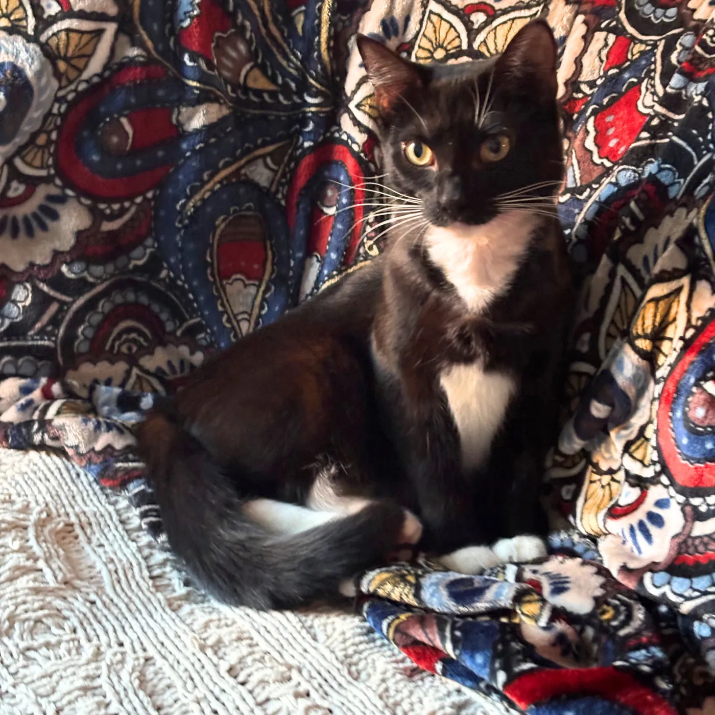 Maelle & Lune - Photo 2