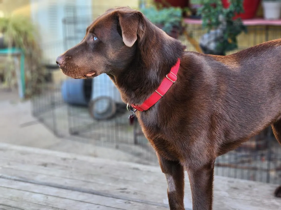 Jersey Girl - Photo 2