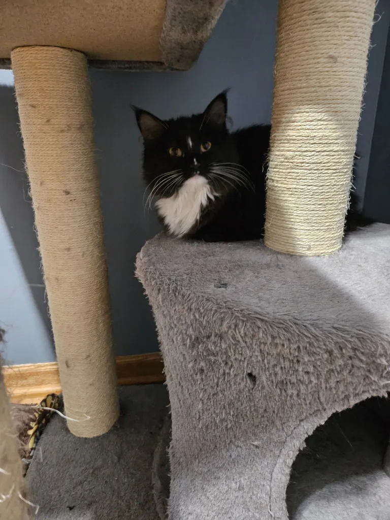 Jane and Ophelia - Photo 2