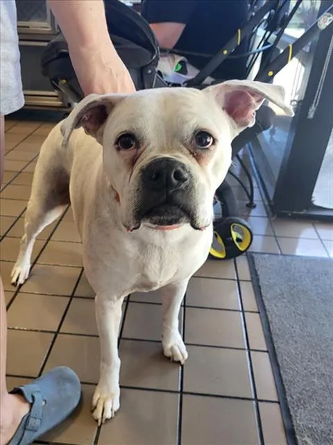 Mississippi - Photo 1