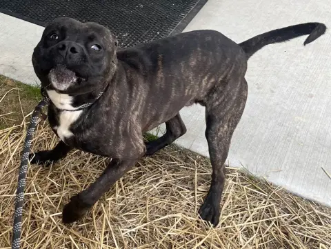 Klondike thumbnail 2