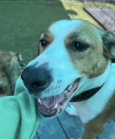 Gracie Mae thumbnail 2