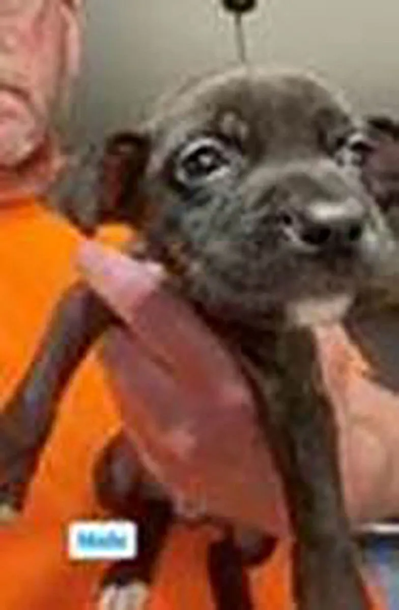 Saved By Grace - Photo 1