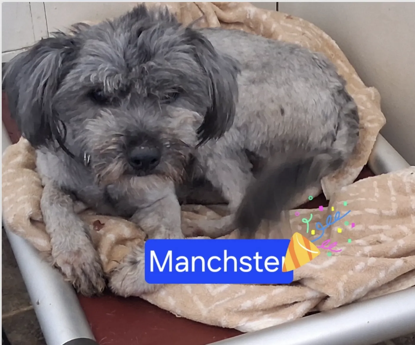 Manchester - Photo 1