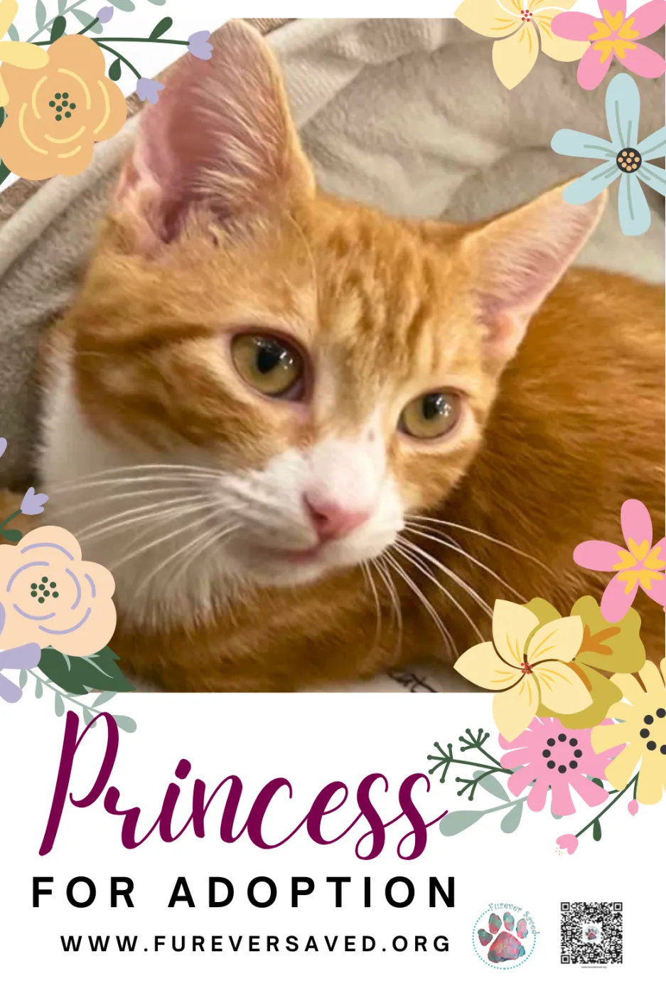 Princess - Photo 2