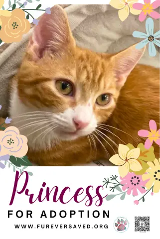 Princess thumbnail 2
