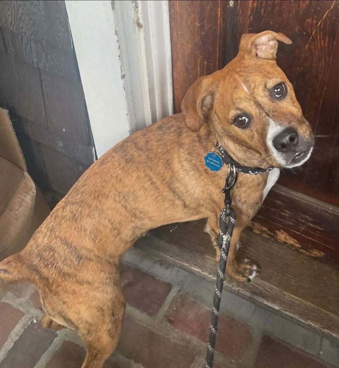 Mr. Carl Bones - Photo 1