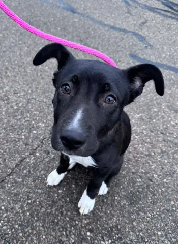 Markayla thumbnail 2