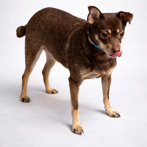 Bruno Mars thumbnail 2