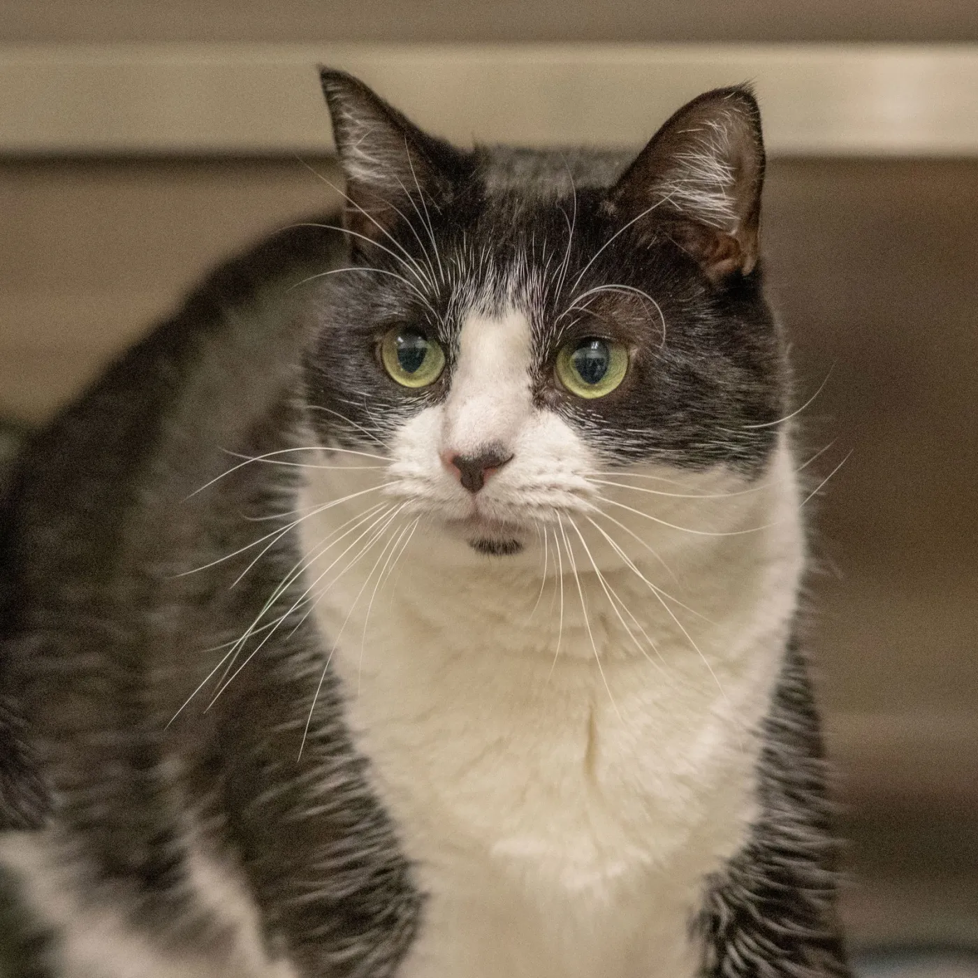 Martha May - Photo 1