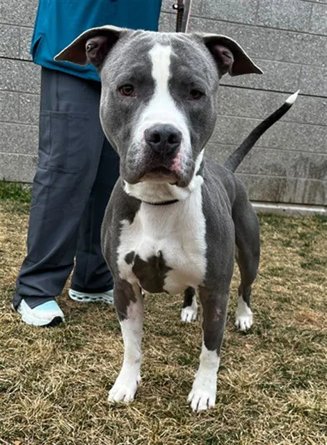 Butterball - Photo 1