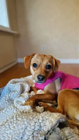 Penny Marie thumbnail 2