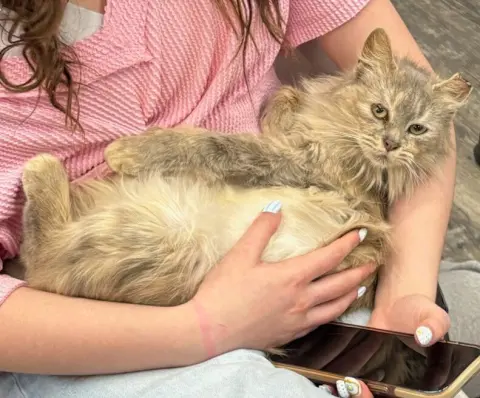 Tatelynn thumbnail 2