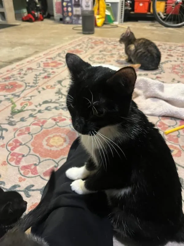 Jelly Bean - Photo 1