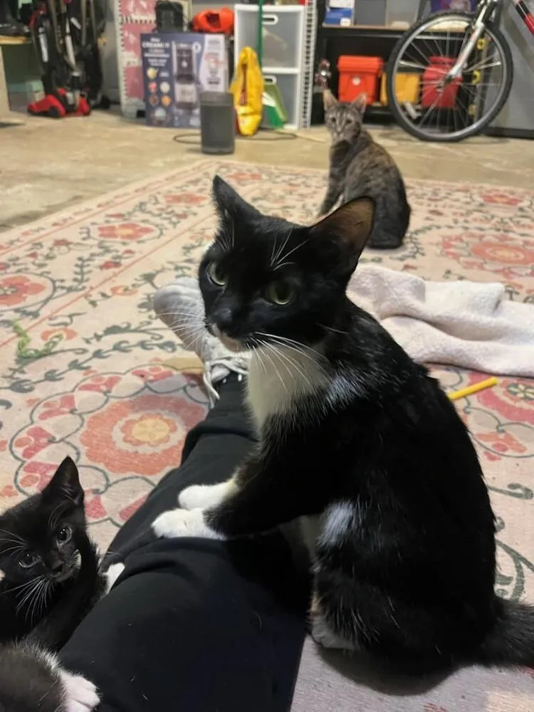 Jelly Bean - Photo 2