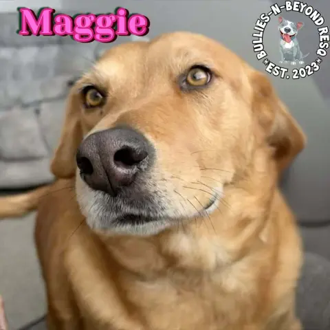 Maggie