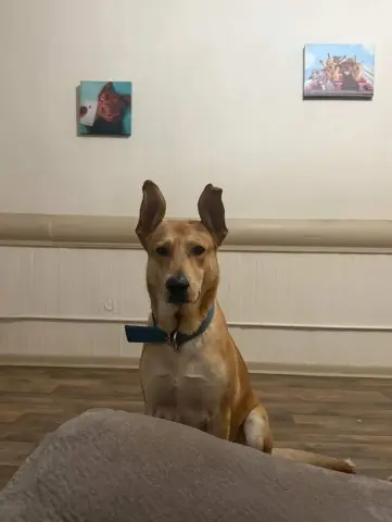 Cornbread thumbnail 2