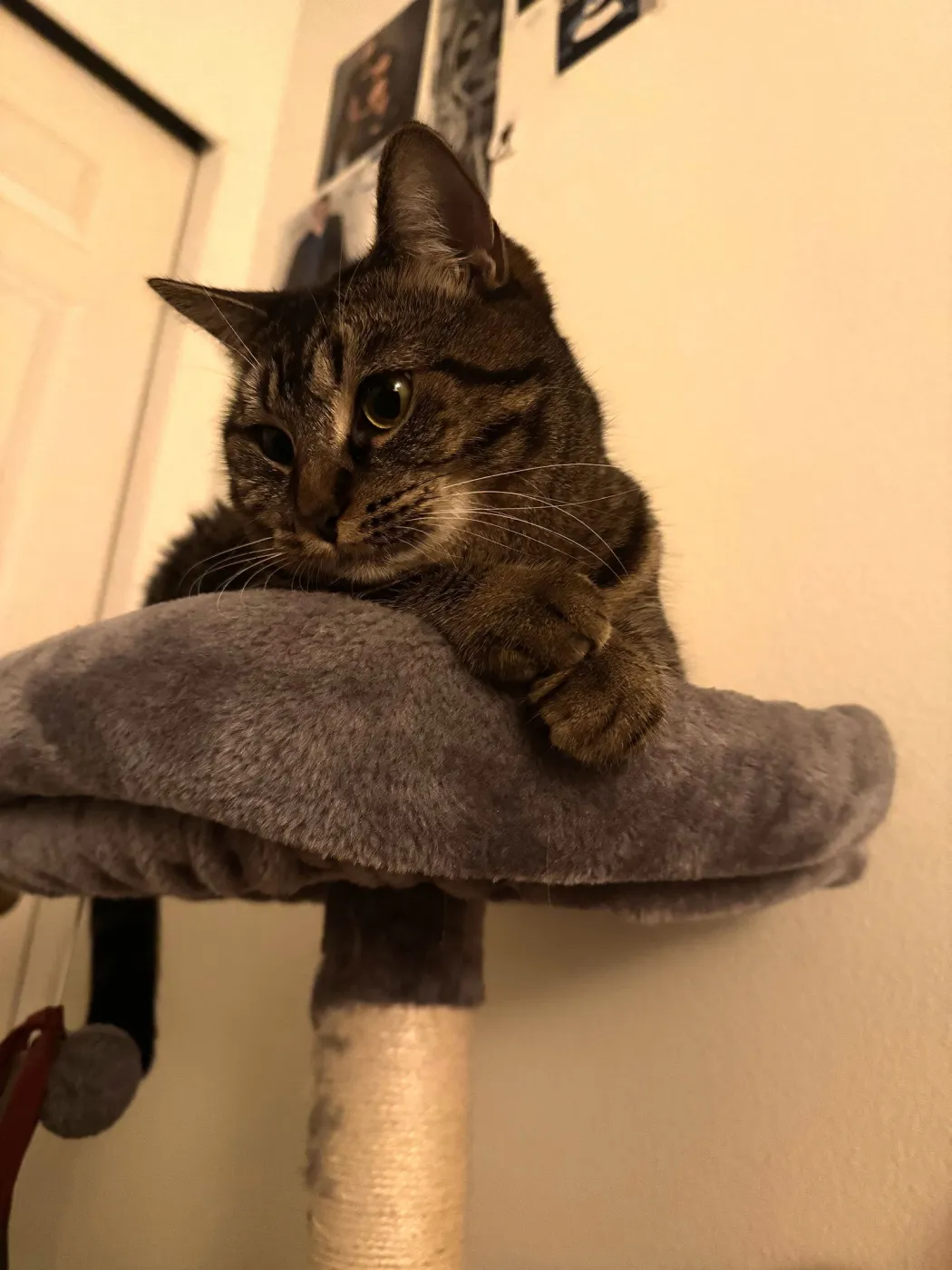 Shenandoah - Photo 1