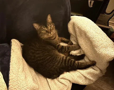 Shenandoah thumbnail 2