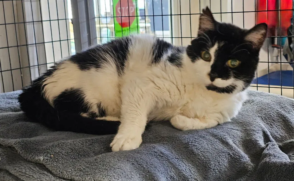 Esther Snow - Photo 2