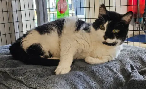 Esther Snow thumbnail 2