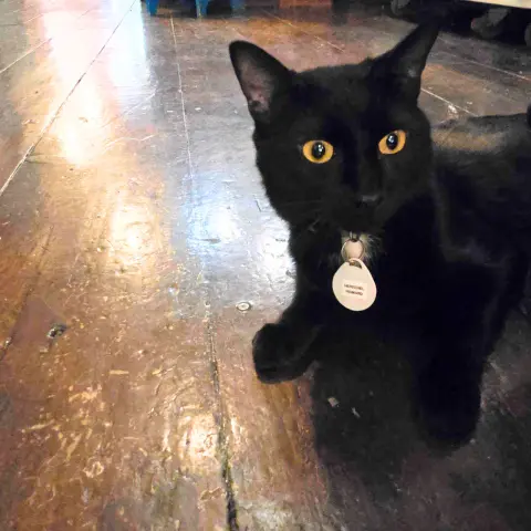 Herschel thumbnail 2