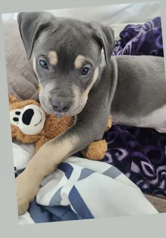 Kingston thumbnail 2