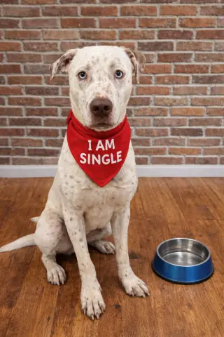 Marshall thumbnail 2