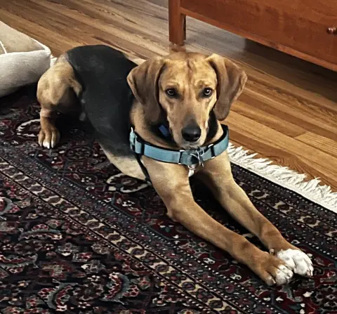 Traveler thumbnail 2