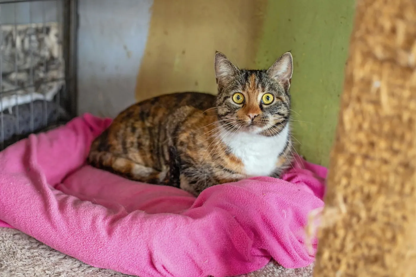 Christi Anna - Photo 1