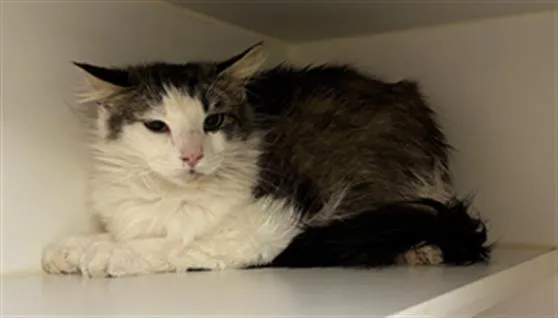 Crystal Barn - Photo 1