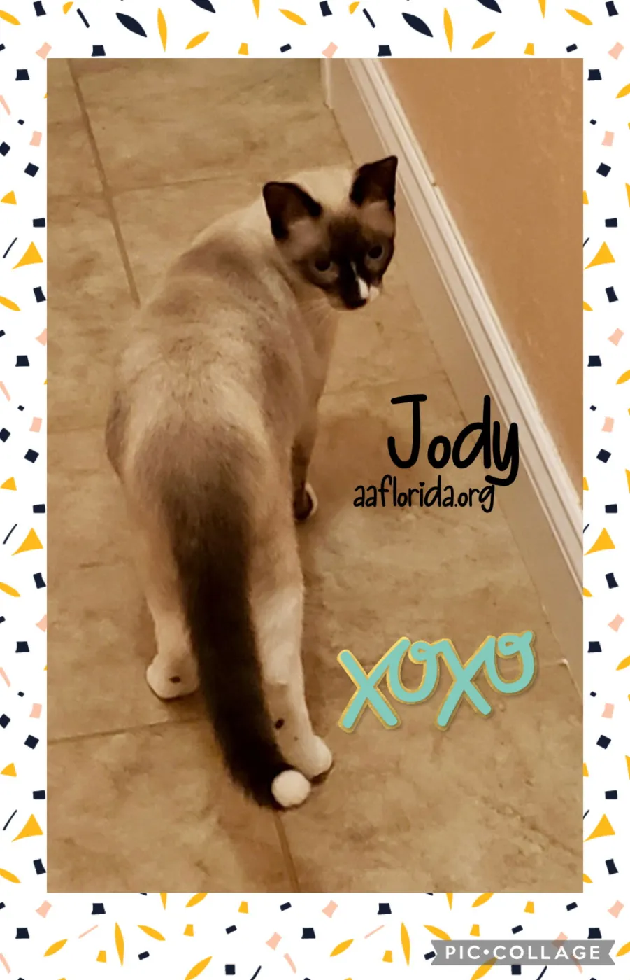 Jody - Photo 1