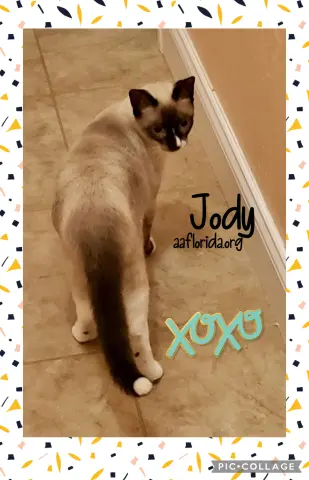 Jody