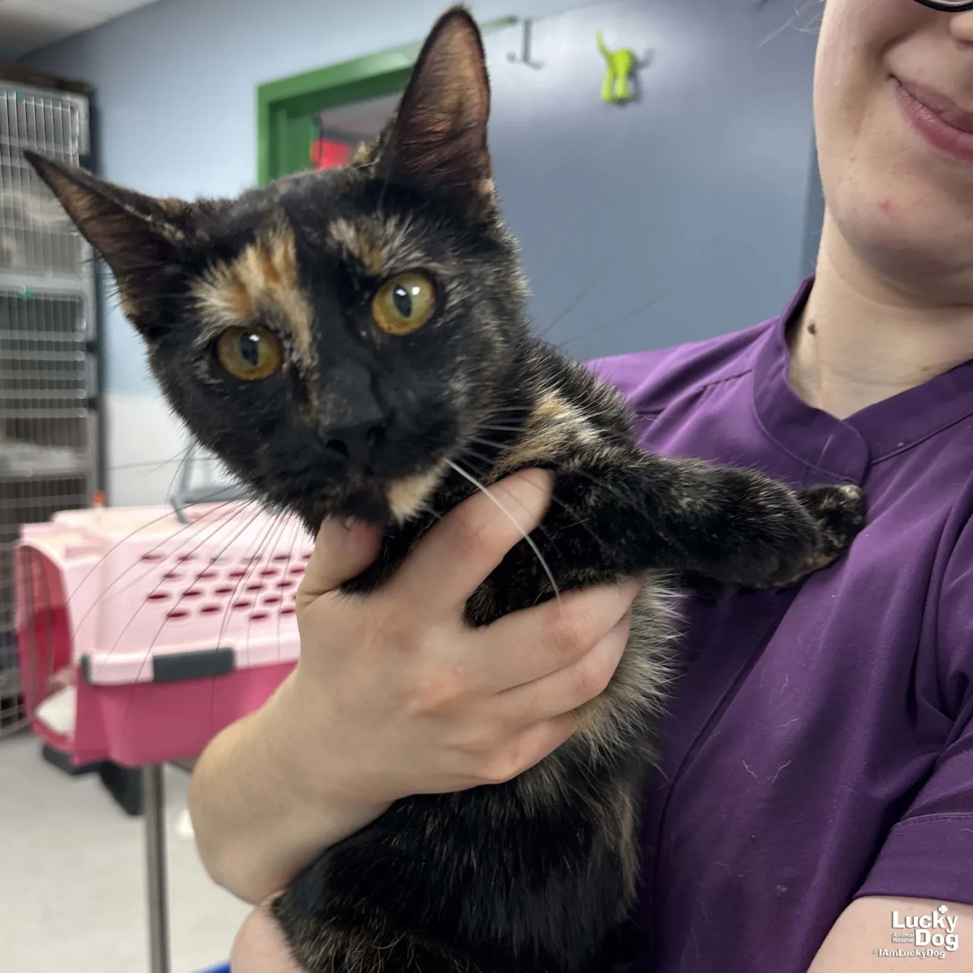 Maleficent - Photo 2