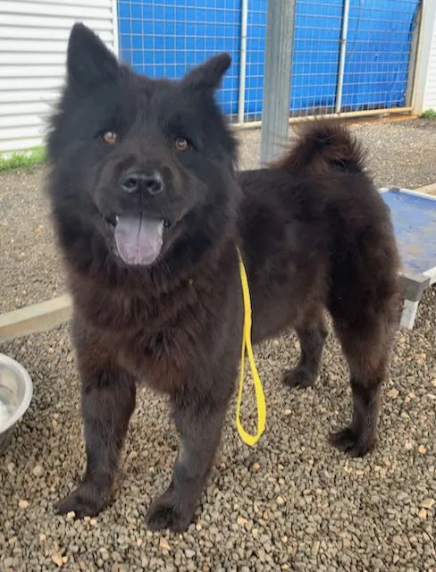 Persephone - Photo 2