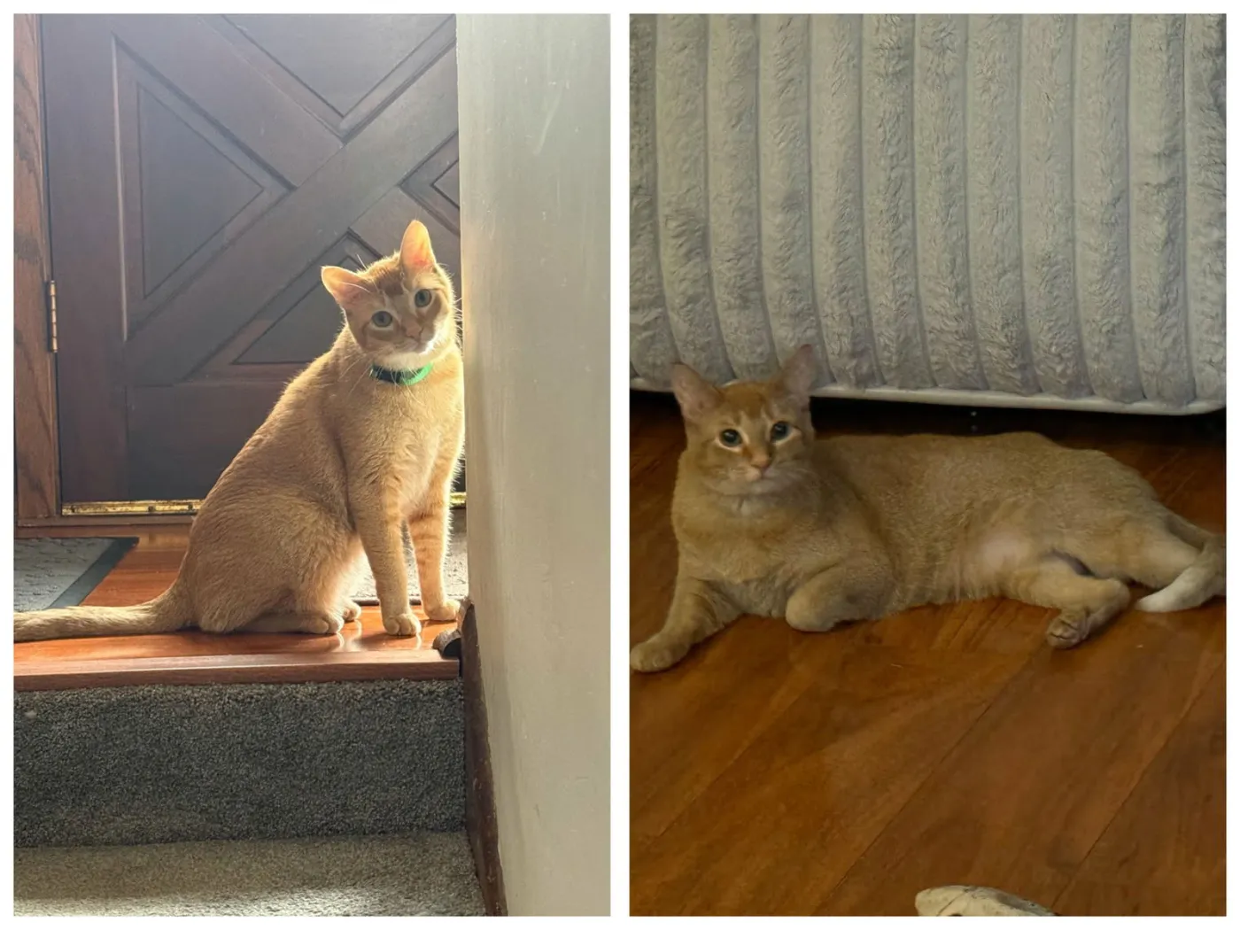 Skittles & Twix - Photo 1