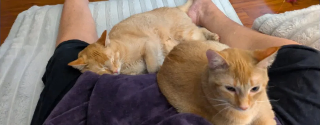 Skittles & Twix - Photo 2