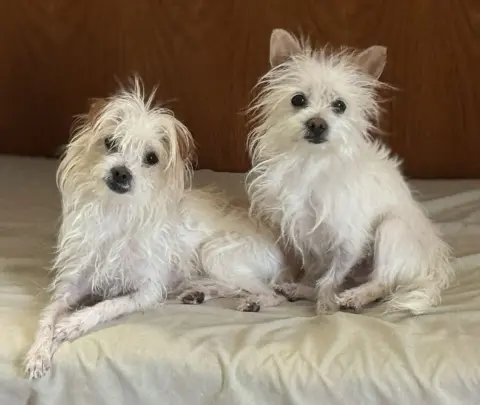 Bert and Ernie thumbnail 2