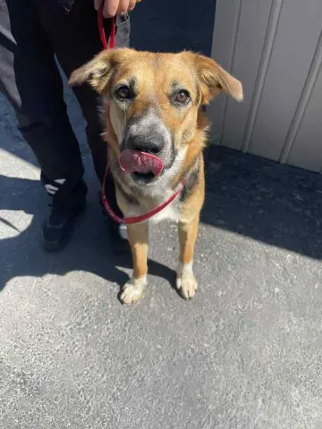 Hollywood thumbnail 2