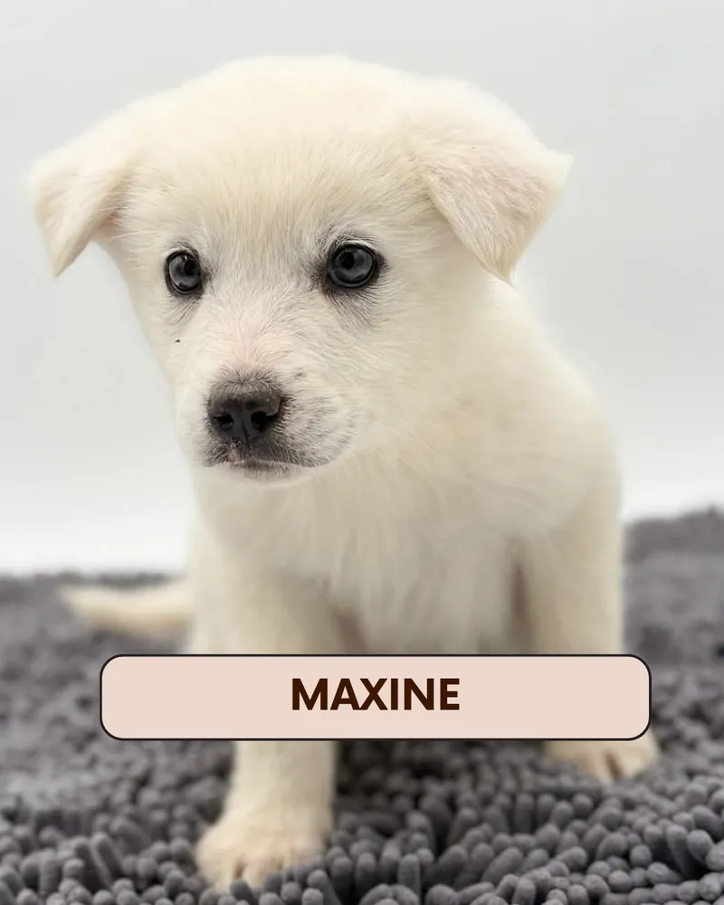 Maxine - Photo 1