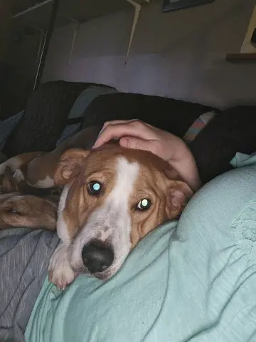 Abbey Mae thumbnail 2